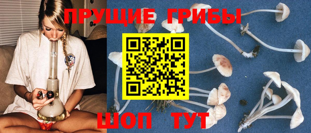 Псилоцибиновые грибы Psilocybe  Вход с VPN  Лабинск  где найти   Псилоцибиновые грибы Magic Shrooms 